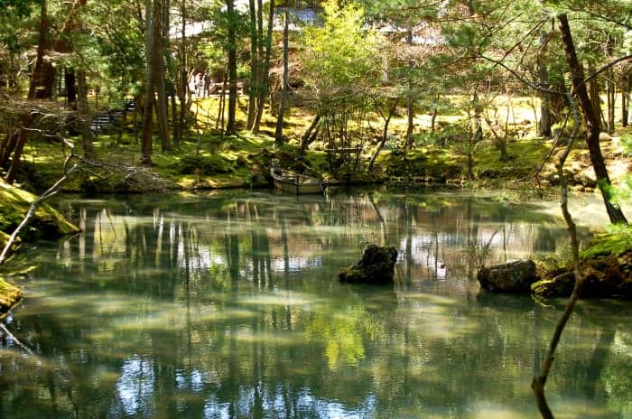 Kokedera: le jardin de mousse de Kyoto