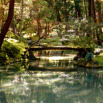 kyoto jardin de mousse