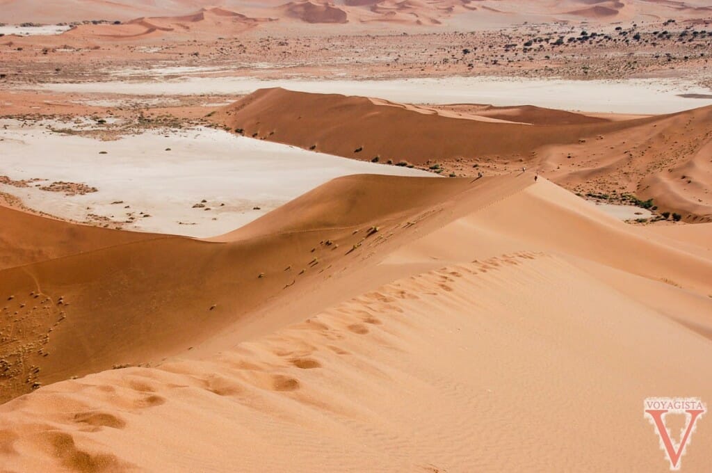 Namib Desert-11-2
