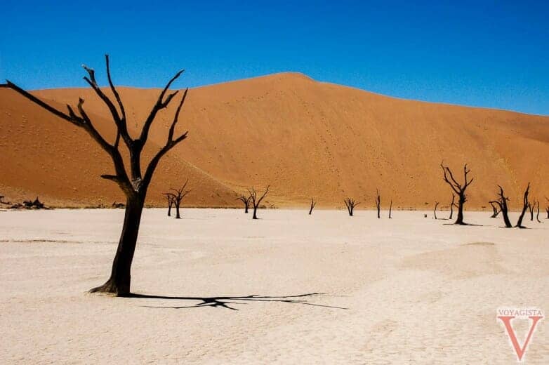 Le désert du Namib sous toutes les coutures