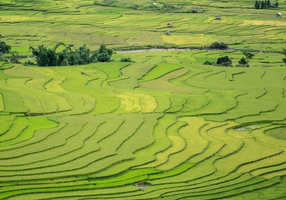 Mu Cang Chai et les rizières du nord-ouest du Vietnam