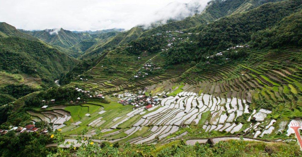 Philippines – la chasse aux rizières au pays des chasseurs de têtes