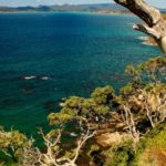 Tapeka Point