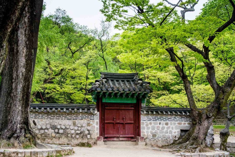 Changdeokgung jardin secret seoul