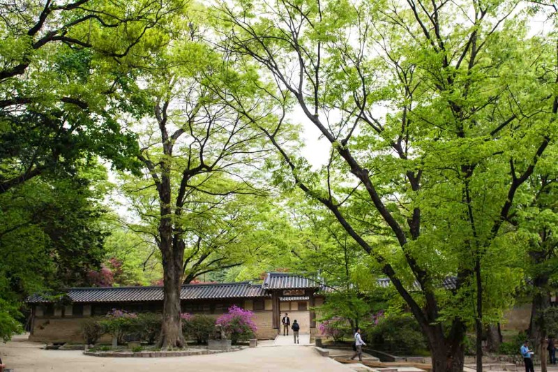 Changdeokgung Séoul