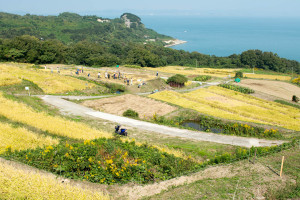 teshima japon shikoku