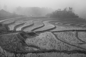 sapa vietnamLes rizières dans la brume