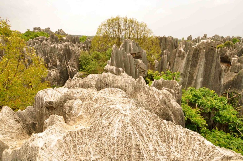 Kunming forêt de pierres