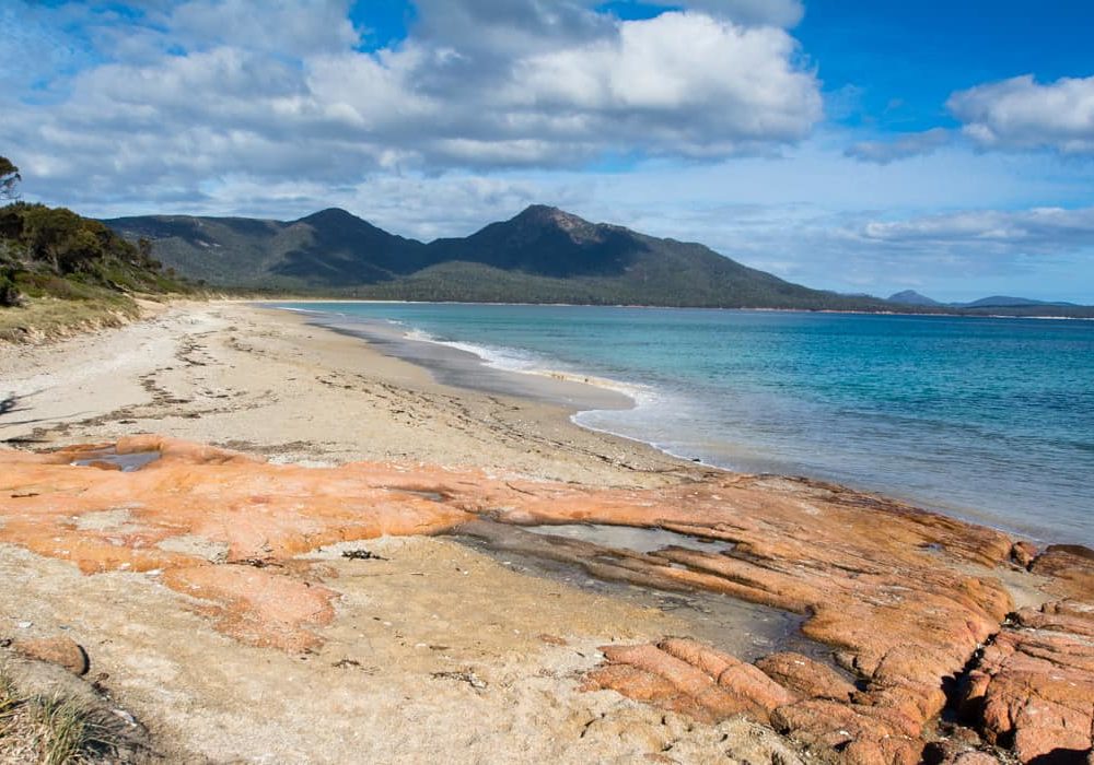 Mes iles australiennes en photos: la Tasmanie et Kangaroo Island