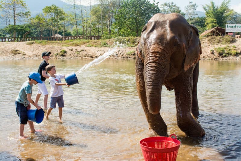Chiang Mai éléphants