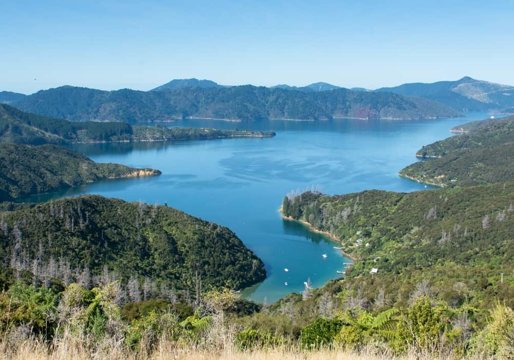 queen Charlotte track