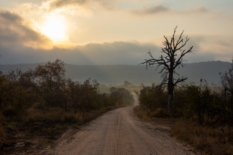 Itinéraire en Afrique du Sud sur les routes de Kruger