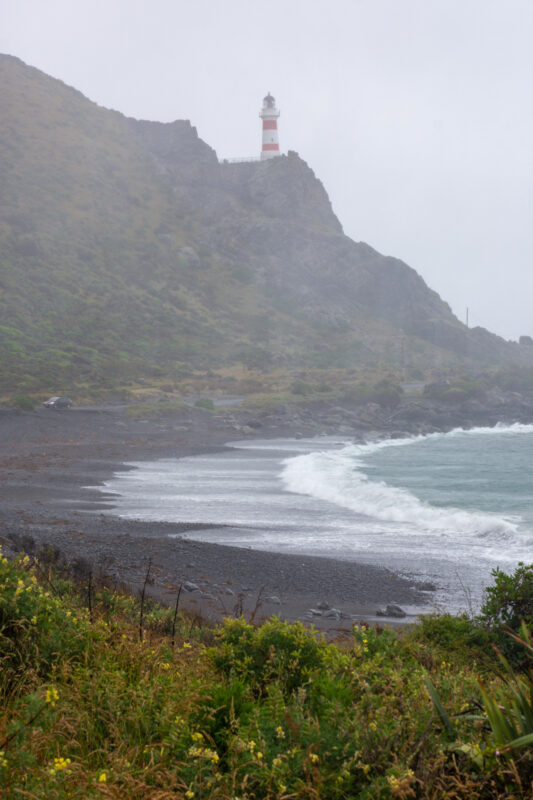 Cape Palliser dans les Wairarapa