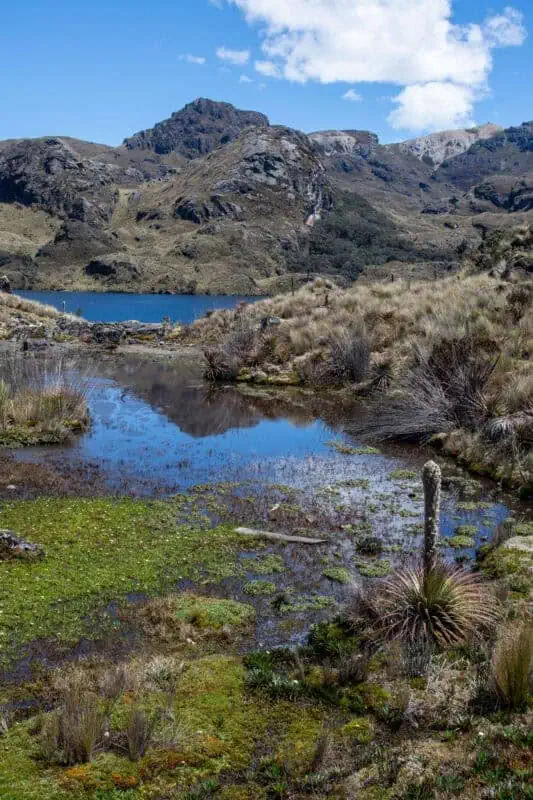 las cajas