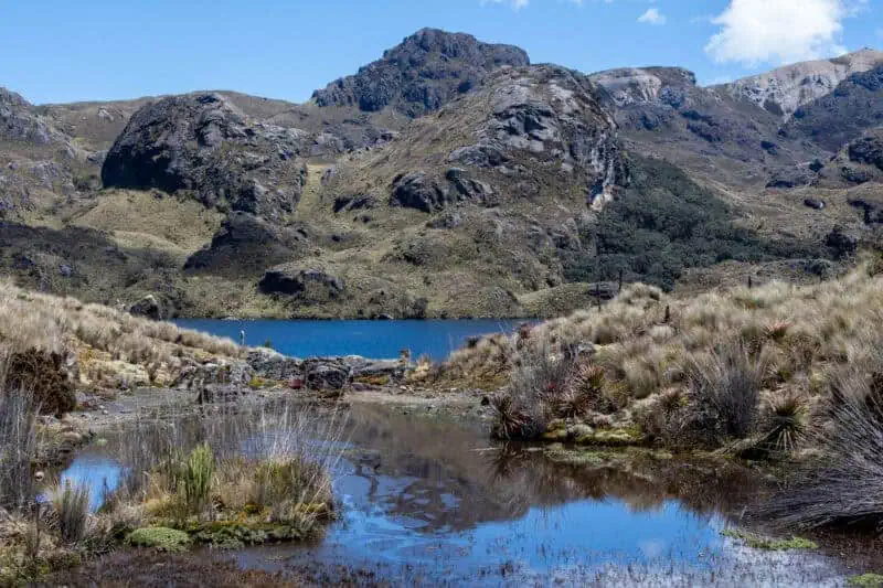 las cajas