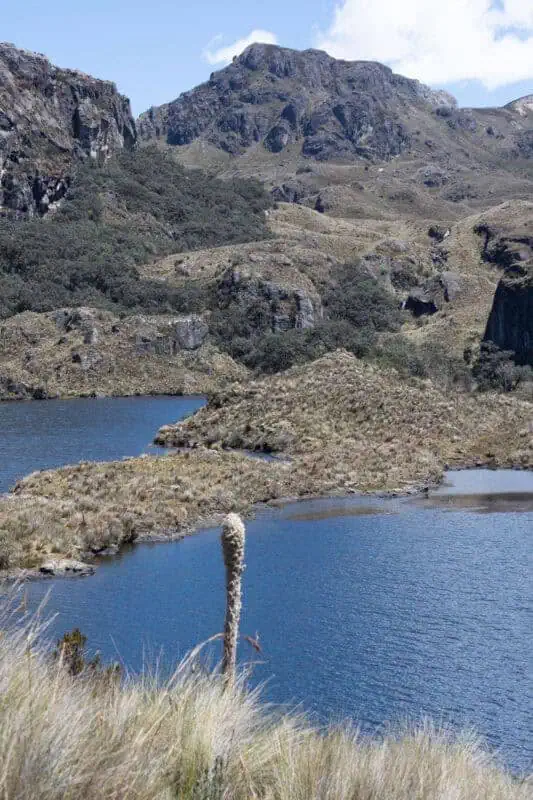 las cajas