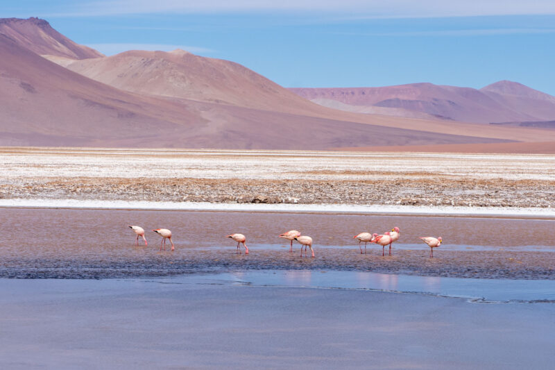 route des salades San Pedro de Atacama