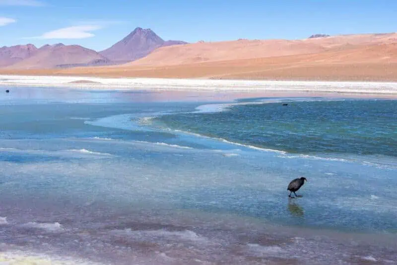 route des salades San Pedro de Atacama