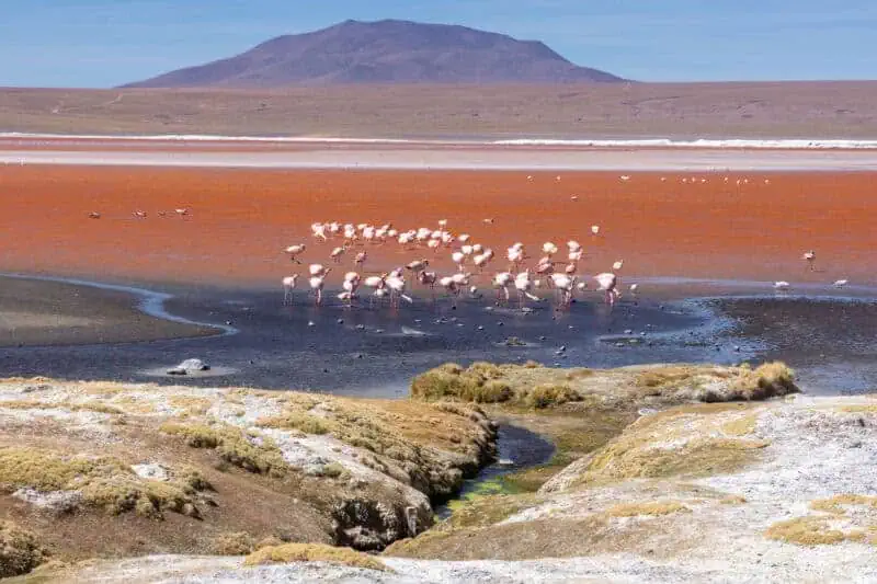 la Laguna colorada