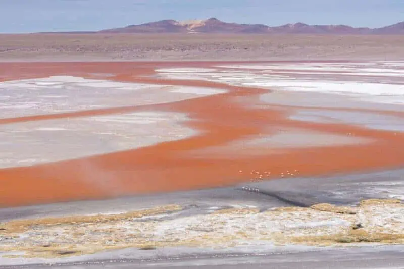la laguna colorada
