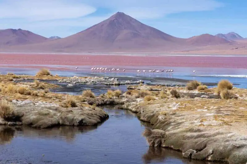 la laguna colorada au Sud Lipez