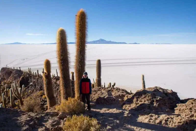 les cactus d'uyuni