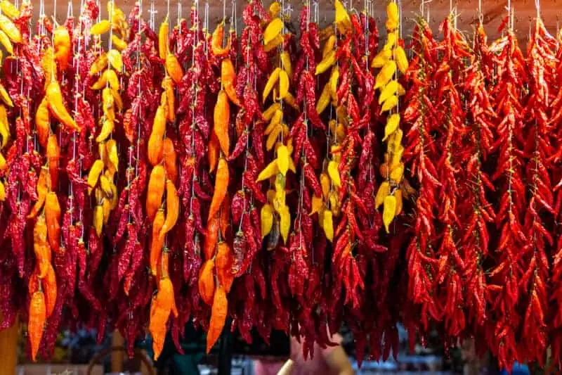 Funchal et son marcher