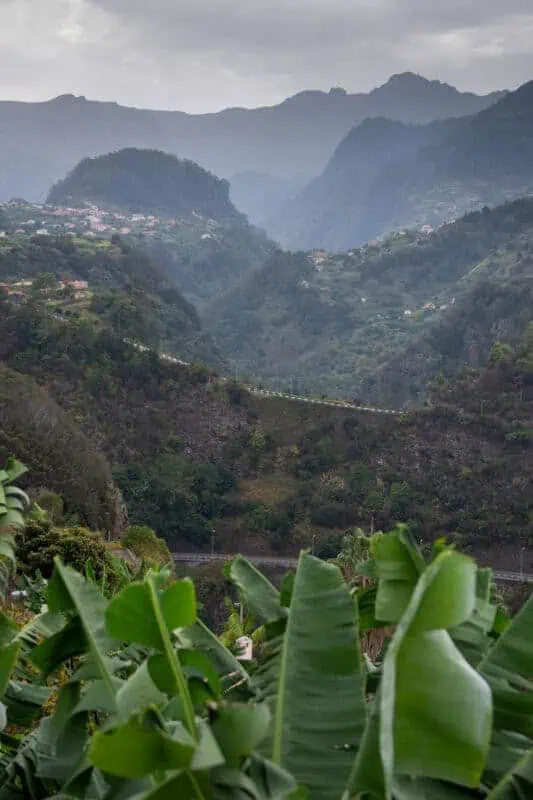 la cote est de madère