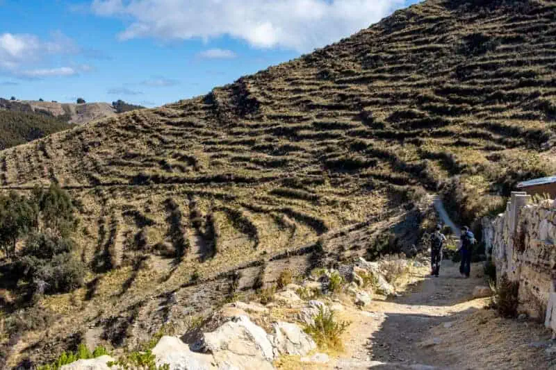 Les cultures en terraces de Isla del Sol