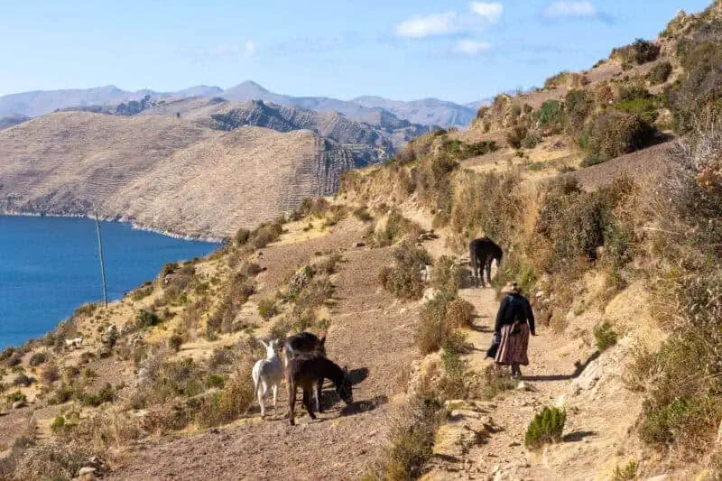 Randonnée sur Isla del Sol