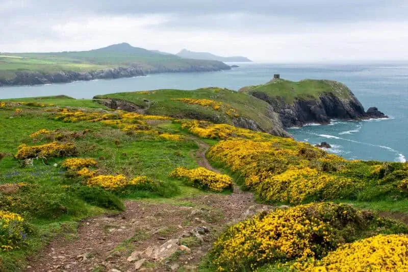 prembrokeshire la cote