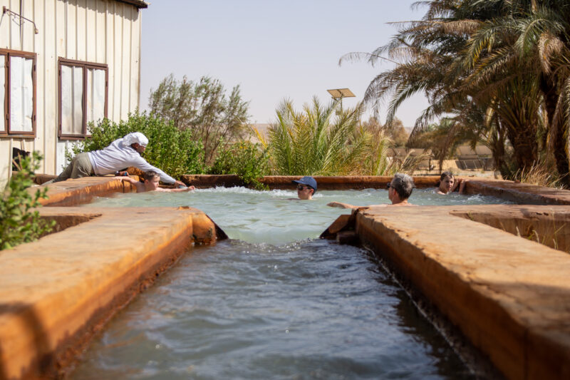 Baignade dans l'Oasis