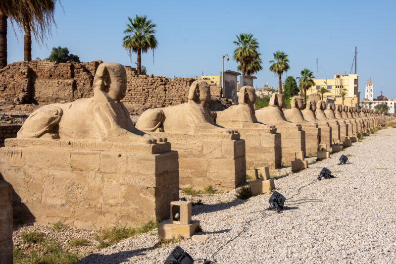 l'allée des Sphinx à Louxor