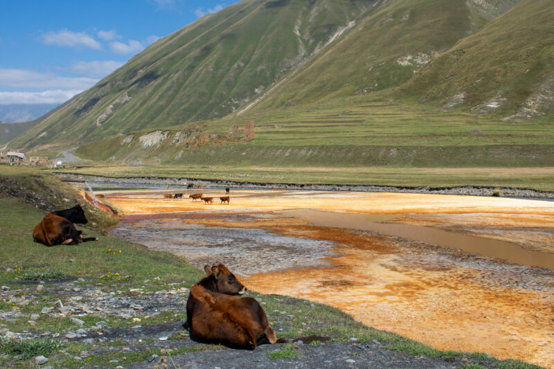 la vallée de trust