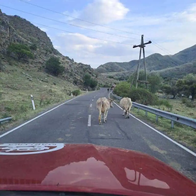 conduire en Géorgie