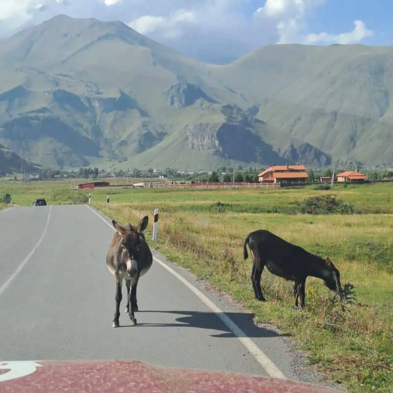 conduire en Géorgie