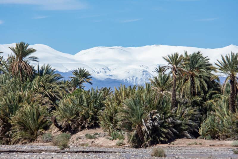 Route des Mille Kasbahs
