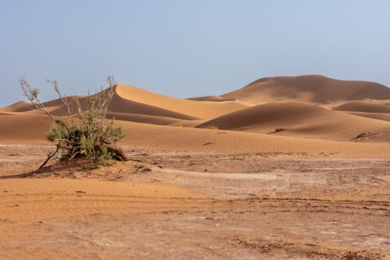 les dunes au Maroc