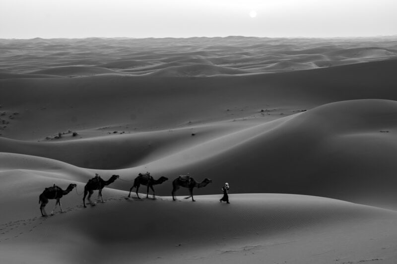 le desert au Maroc