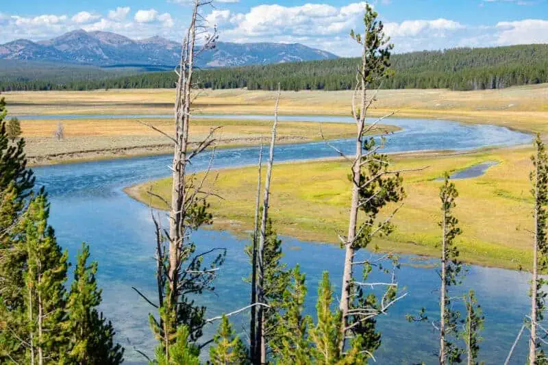 Hayden Valley a Yellowstone