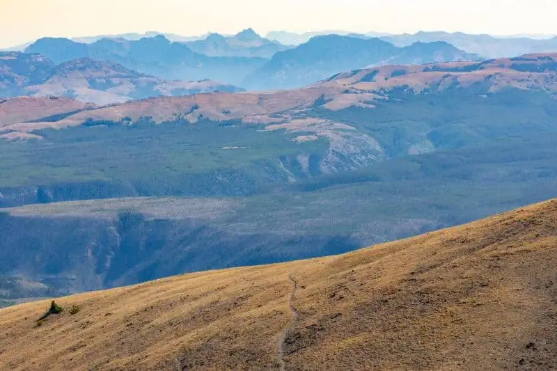 mount Washburn in yellowstone