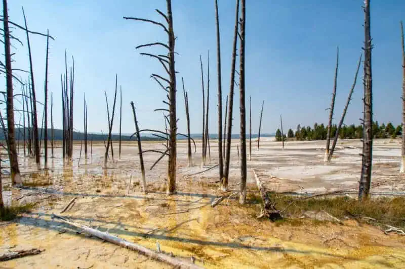 visiter yellowstone