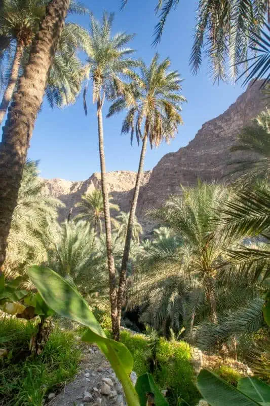 les wadis d'oman