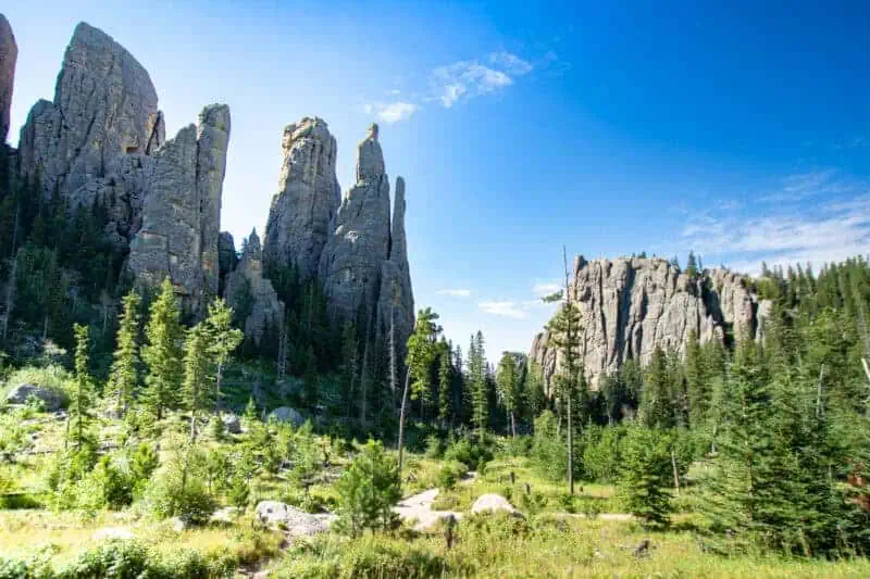 Custer park road trip yellowstone