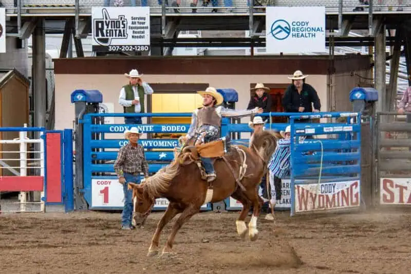 rodeo cody 