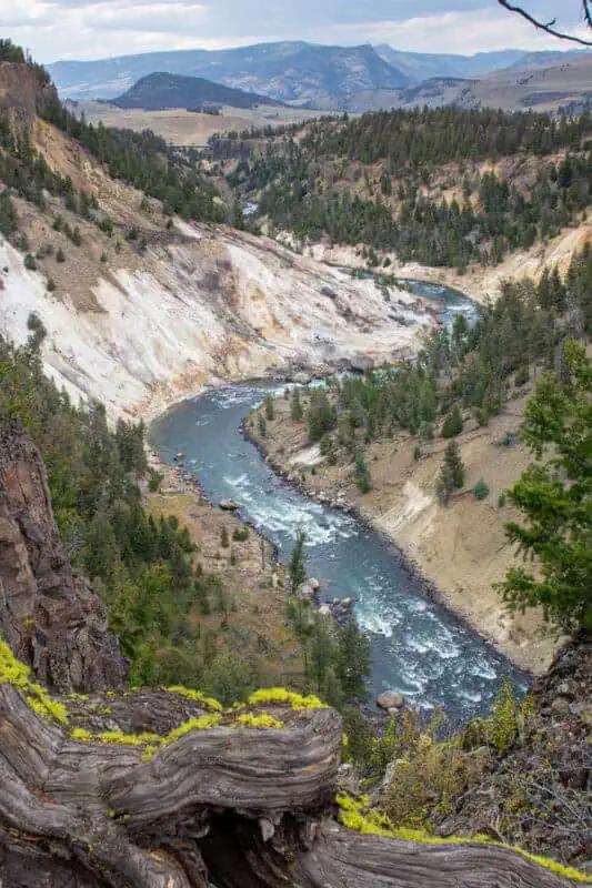 visiter Yellowstone en 6 jours