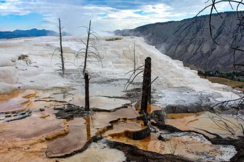 visiter Yellowstone