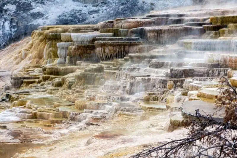 les terrasses de yellowstone
