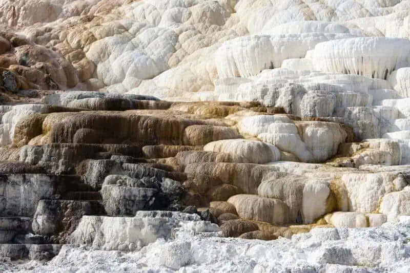 les terrasses de yellowstone