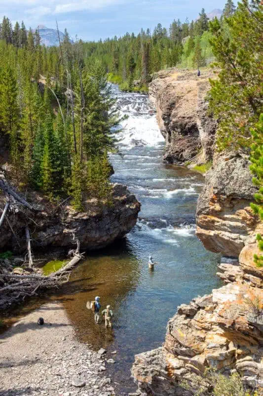 les bons plans de Yellowstone